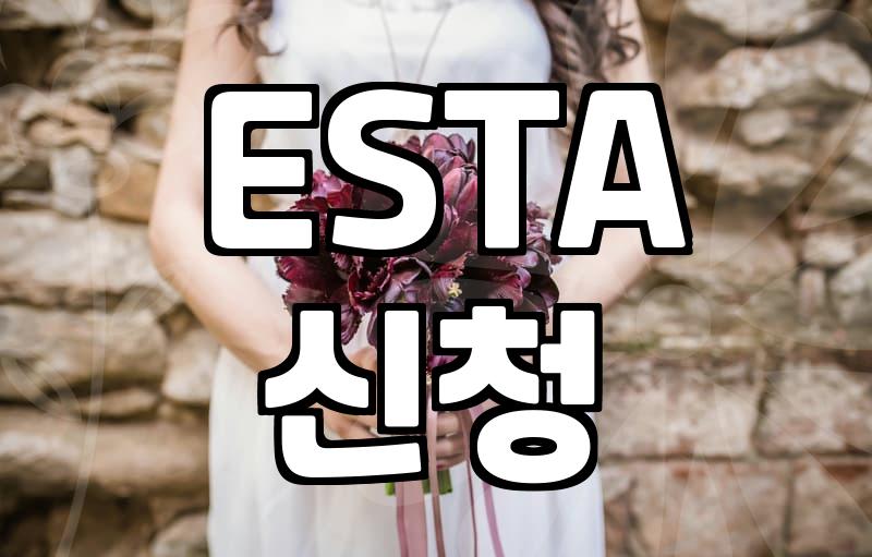 신혼여행 미국, 정말 괜찮을까?