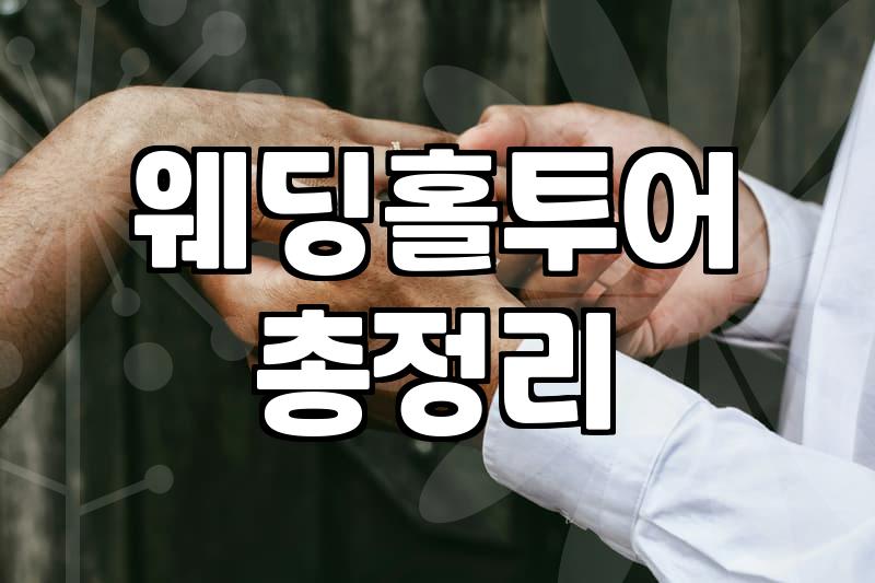 삼성역 근처 웨딩홀 투어, 엑셀 표에는 없는 현실적인 고려사항들