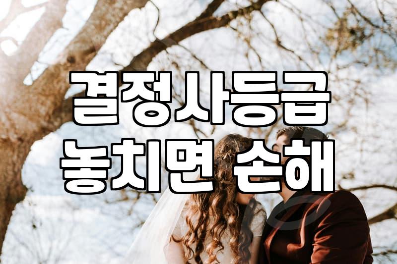 결혼정보회사 상담을 앞둔 30대에게: 광고 밖의 현실적인 고민들