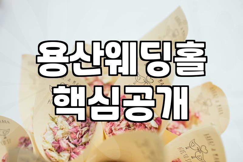 서울 용산 지역 웨딩홀 투어와 예식장 선택의 현실적인 고려사항