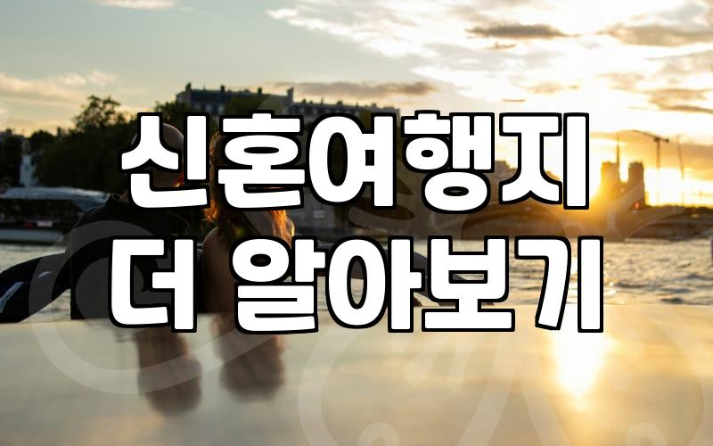 3월신혼여행 비용과 날씨 조건별 추천 지역 선정 기준