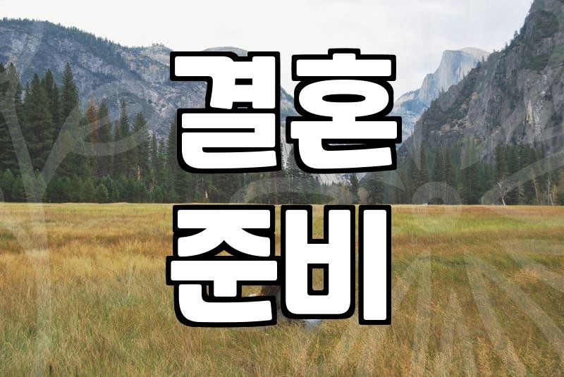 막막한 결혼 준비 시작과 신혼여행 예산 세우는 법