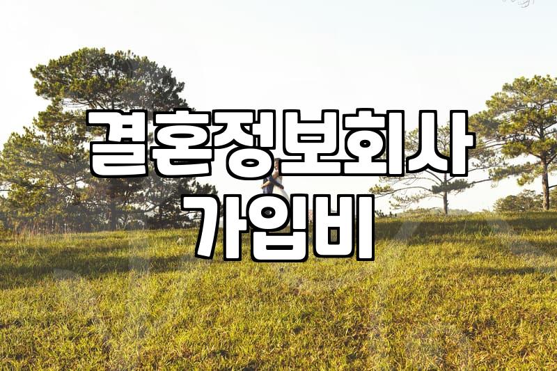 결정사성혼비 산정 기준과 계약 시 주의해야 할 점