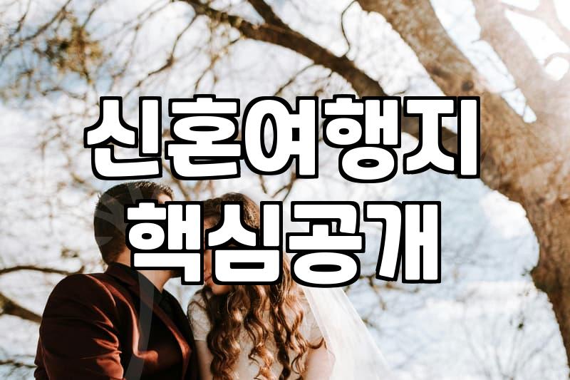 신혼여행박람회 방문 전 확인해야 할 가격 구성과 실제 혜택 수준