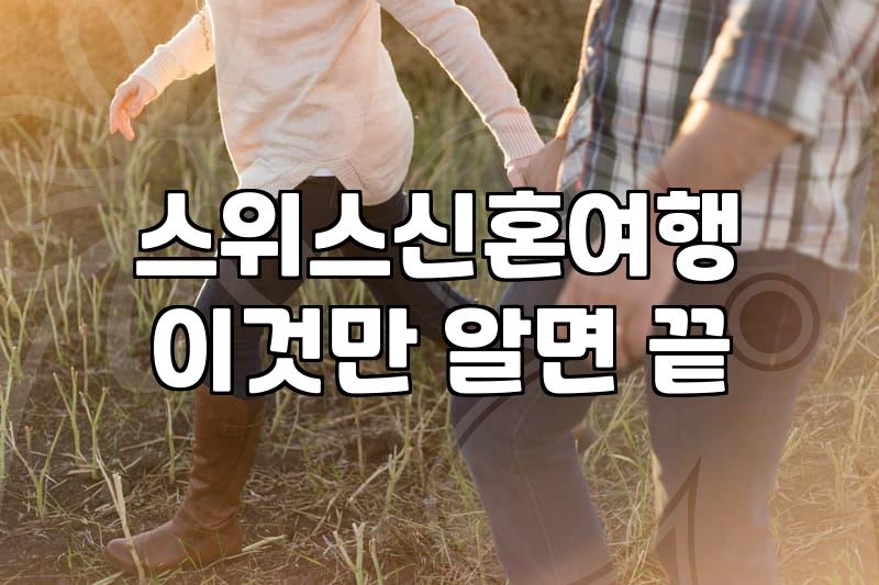 박람회에서 견적 받고 머리가 더 복잡해진 이유