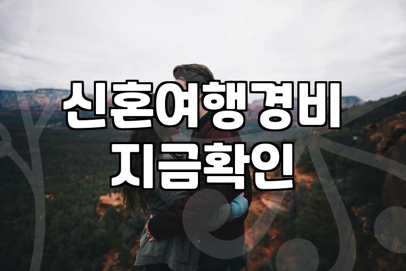 막막한 신혼여행지 선택과 예산 관리 현실적인 고민들