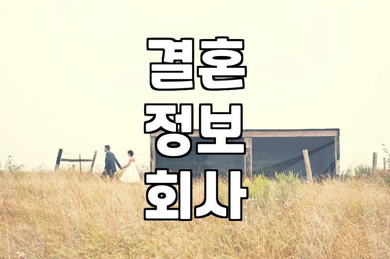 결혼 정보 회사와 소개팅, 그 사이 어디쯤의 현실적인 고민들