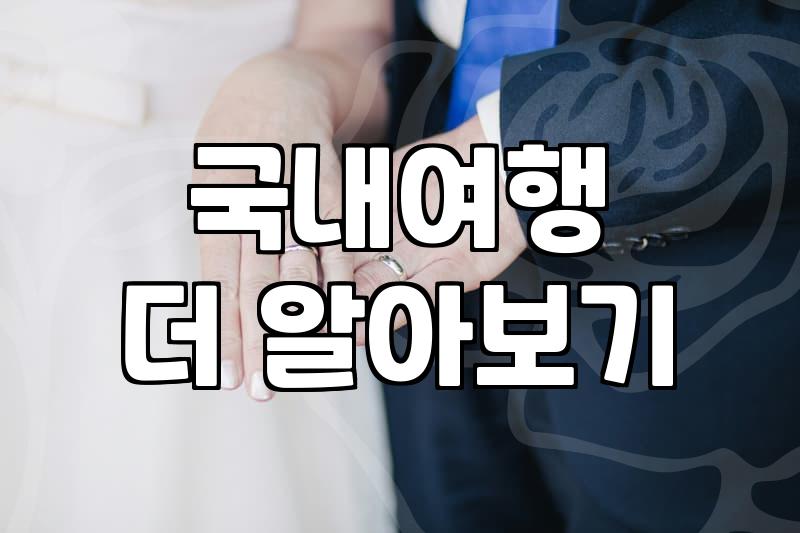 전진, 류이서 부부의 2박 3일 무계획 국내 여행: 신혼여행 에피소드와 현실적인 여행 팁