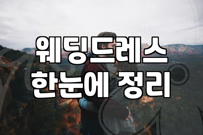 드레스 보정하다가 결국 노트북을 덮어버렸다