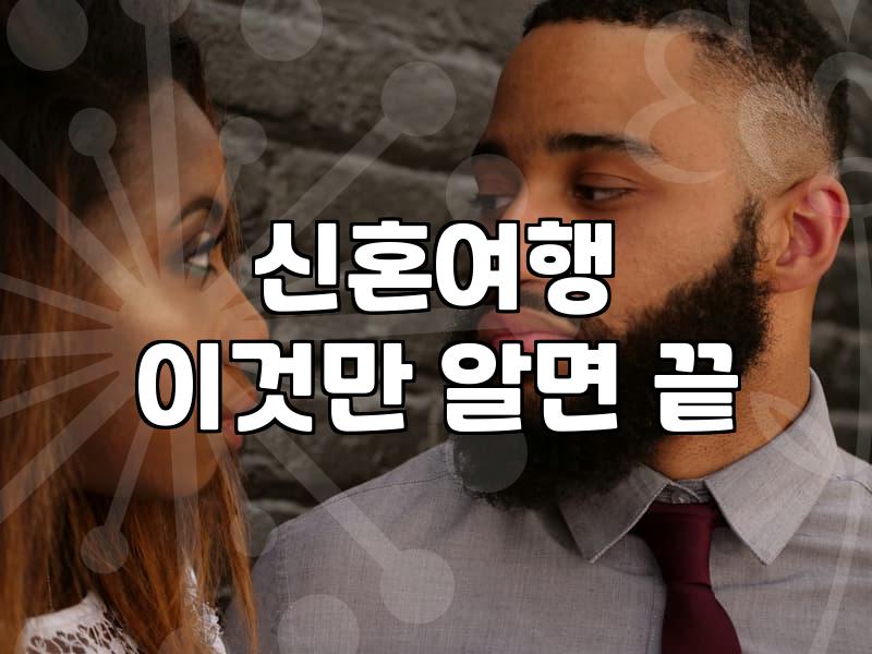 신혼여행지 정하다가 지쳐버린 이야기