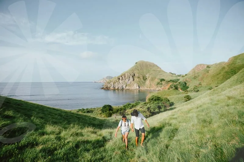 웨딩박람회일정