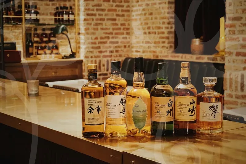 고성가볼만한곳