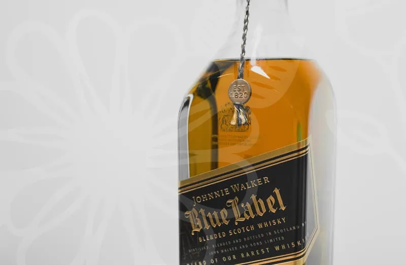 서울바베큐파티